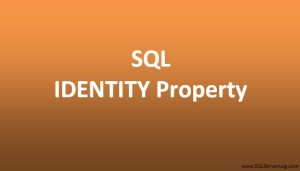 SQL IDENTITY Column – Auto Increment Column Values